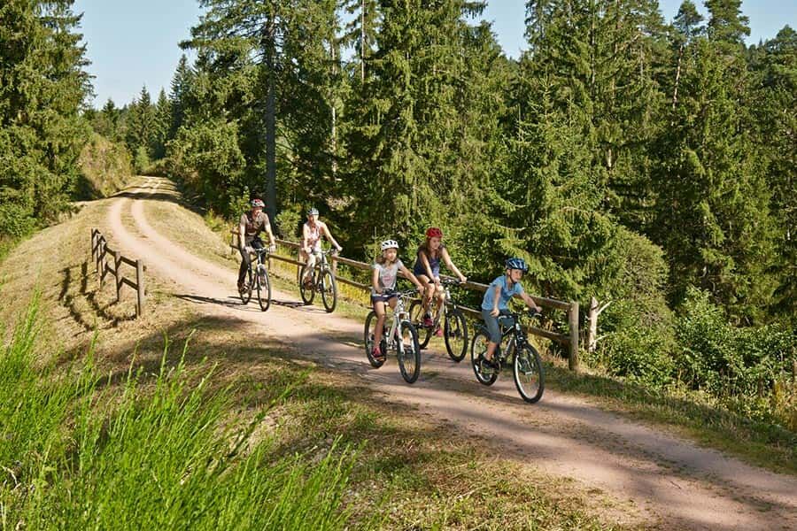 E-bikes and mountain bikes