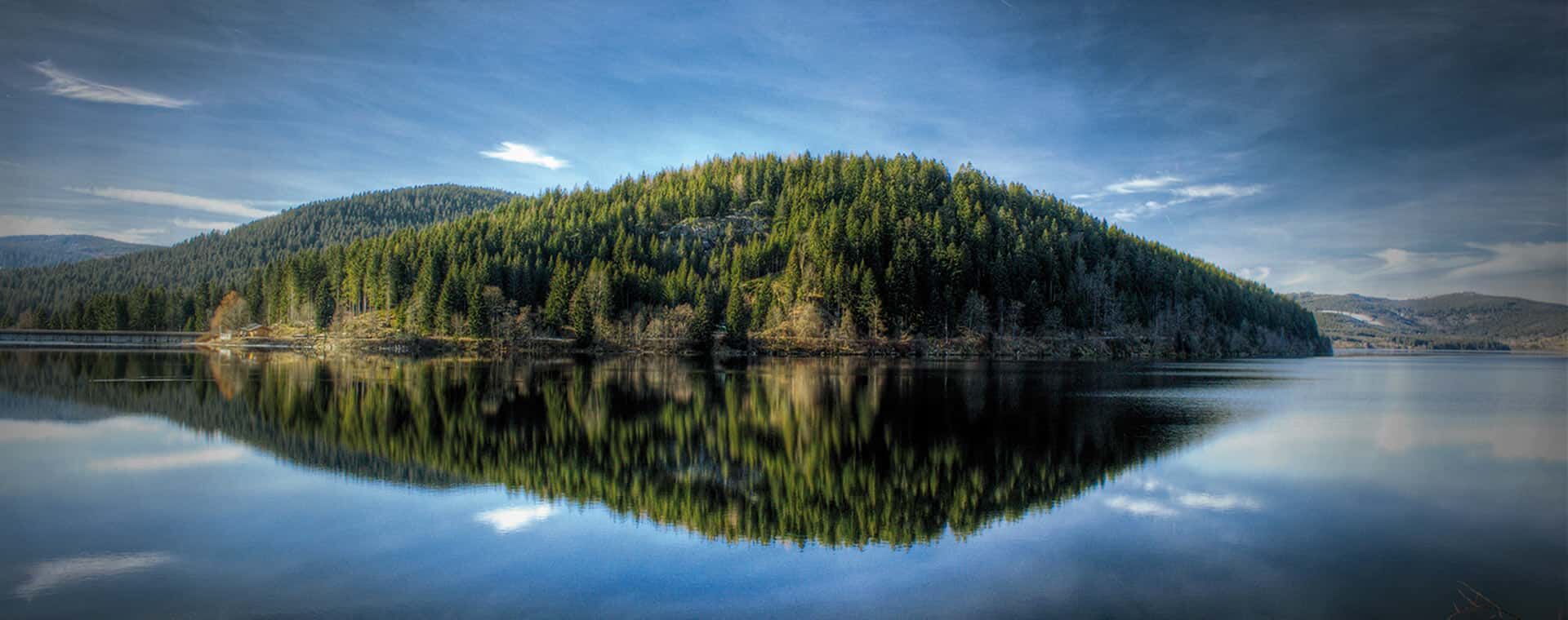 Ausflugziel Schluchsee mit Waldgebiet