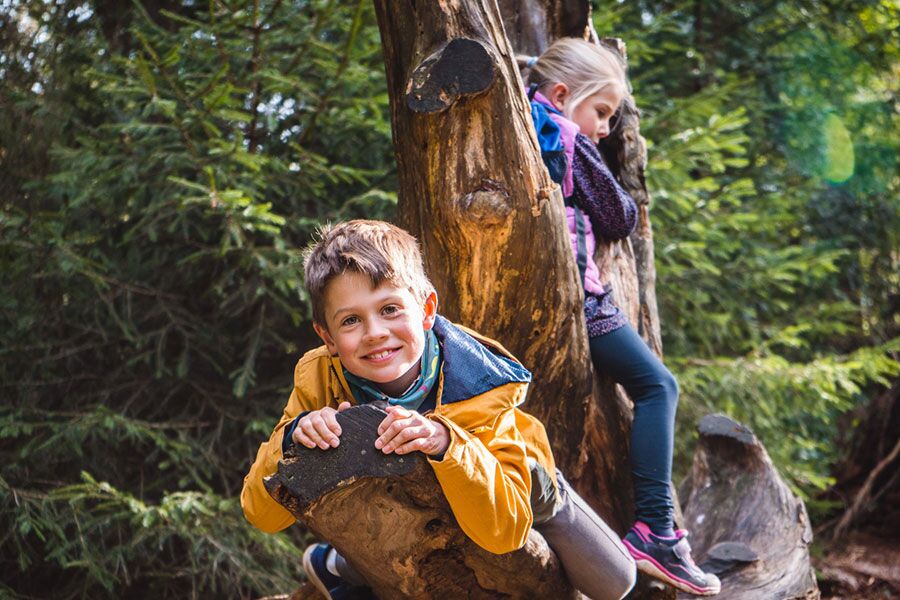 Naturerlebnispfad in Hinterzarten